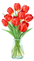 il naturale bellezza di tulipano fiori su un' trasparente sfondo png