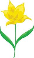 Early spring yellow tulip vector