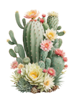 el belleza de cactus naturaleza en un transparente antecedentes png