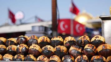traditional Istanbul street food grilled chestnuts in a row video