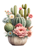 The beauty of cactus nature on a transparent background png