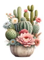 de schoonheid van cactus natuur Aan een transparant achtergrond png