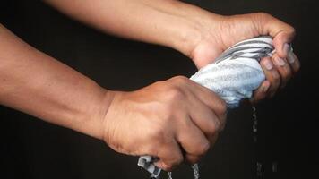 slow motion of Hands squeeze wet towel against black background. draining water from wet towel.. video