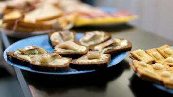 sanduíches às uma bufê mesa italiano ou espanhol restaurante, espanhol cozinha, delicioso tapas e queijo placa, Brusqueta com queijo, azeitonas seco tomates e saboroso sanduíche Barra Aperitivo, bufê video