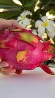 Fresh red dragon fruit with drops of clear water on the edge of swimming pool with white tropical flowers frangipani, moving shade from palm branch and bubbling pool blue water on background in Bali video