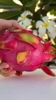 vers rood draak fruit met druppels van Doorzichtig water Aan de rand van zwemmen zwembad met wit tropisch bloemen frangipani, in beweging schaduw van palm Afdeling en borrelen zwembad blauw water Aan achtergrond in Bali video