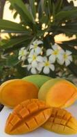 Nahansicht von das frisch Mango Saft gegossen im ein hoch Glas Nächster zu ein Mango Schnitt in Würfel auf ein sonnig Tag video