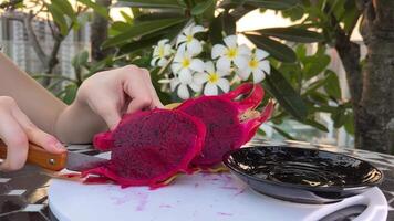 Fresh red dragon fruit with drops of clear water on the edge of swimming pool with white tropical flowers frangipani, moving shade from palm branch and bubbling pool blue water on background in Bali video