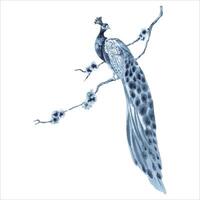 pavo real pájaro en florecer árbol rama cuadro. azul índigo monocromo composición. mano dibujado acuarela ilustración aislado en blanco antecedentes. elegante acortar Arte para huellas dactilares, patrones y fondos de pantalla vector