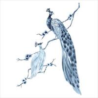 pavo real con pava real pájaro en un Cereza árbol rama. azul monocromo composición. mano dibujado acuarela ilustración aislado en blanco antecedentes. animal acortar Arte para huellas dactilares, vestir patrones, tela, tarjeta vector