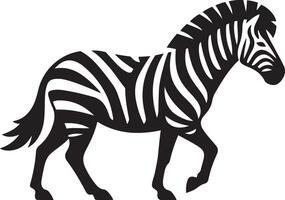 Zebra walking illustration. vector