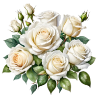 le Naturel beauté de blanc des roses sur une transparent Contexte png