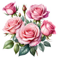 The natural beauty of pink roses on a transparent background png