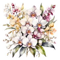 Natural beauty of white orchids on transparent background png