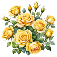 The natural beauty of yellow roses on a transparent background png