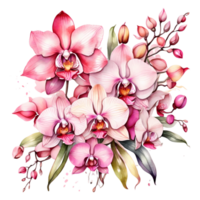 natürlich Schönheit von lila Orchideen auf transparent Hintergrund png