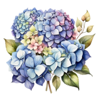 le Naturel beauté de hortensia fleurs sur une transparent Contexte png