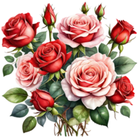 The natural beauty of red roses on a transparent background png