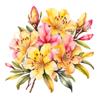 The natural beauty of yellow azalea flowers on a transparent background png