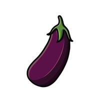 fresh eggplant illustration vector