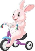 linda Conejo dibujos animados montando bicicleta vector