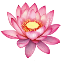 Watercolor blooming single pink lily lotus flower illustration. Ai-Generated png