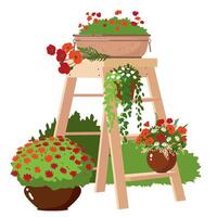 Wooden garden staircase with flowers. Homemade flowers on a shelf in the garden. A summer scene with a staircase with potted flowers in a flowerbed. vector