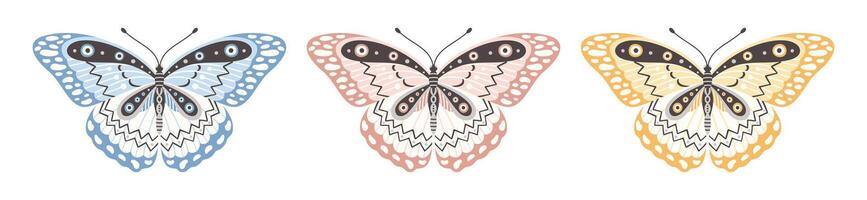 conjunto de mariposas o polillas en Tres colores, ilustración. hermosa alas con resumen ornamento, frente vista. elemento para tatuaje diseño. verano antecedentes vector