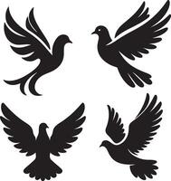 Flying Dove silhouette Pigeon black icon on white background vector