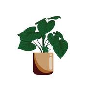 Little plant with pot illustration vector