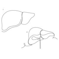 humano sano hígado en uno línea Arte continuo línea ilustración diseño vector