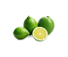 citrus limoen fruit hyperrealistisch zeer gedetailleerd geïsoleerd Aan transparant achtergrond png