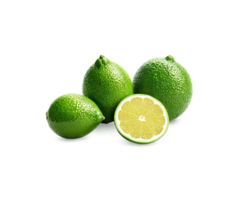 agrumes citron vert fruit hyperréaliste très détaillé isolé sur transparent Contexte png