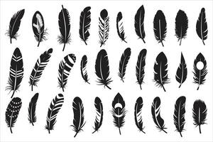 Rustic ethnic decorative feathers set black silhouette, Collection of hand-drawn feathers, Set of decorative animal feathers, Bird feather icon silhouette collection vector