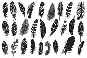 Rustic ethnic decorative feathers set black silhouette, Collection of hand-drawn feathers, Set of decorative animal feathers, Bird feather icon silhouette collection vector