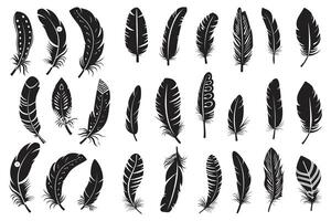 Rustic ethnic decorative feathers set black silhouette, Collection of hand-drawn feathers, Set of decorative animal feathers, Bird feather icon silhouette collection vector