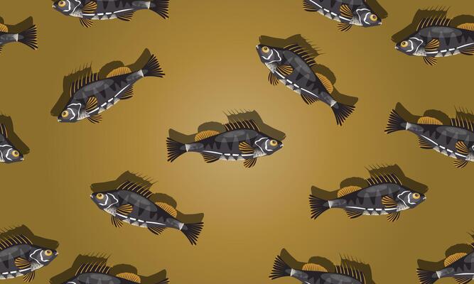 cute fish cartoon seamless pattern. vintage background.