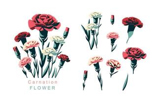 carnation object element.use for mother's day design vector