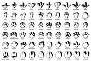conjunto negro y blanco pata impresión icono símbolo. animal huella diseño ilustración vector