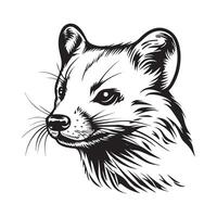 marta imagen diseño. ilustración de un marta aislado en blanco vector
