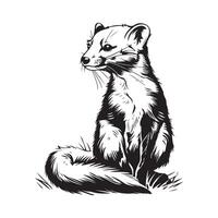 Marten image design. Illustration of a Marten isolated on white vector