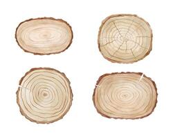 Wooden round and rectangular panel on tree with texture. Watercolor illustration isolated on white. vector