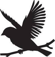 Sparrow silhouette illustration on white background. Sparrow logo. vector