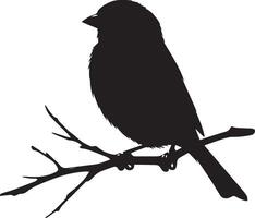 Sparrow silhouette illustration on white background. Sparrow logo. vector