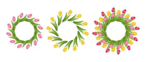 conjunto de floral coronas con tulipanes primavera flor guirnalda. vector