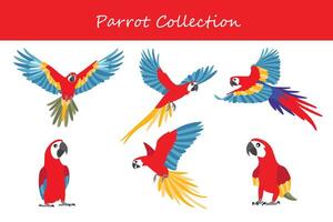 Parrot collection. Parrot in different poses. vector