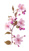 Beautiful natural flowers on a transparent and high quality background png