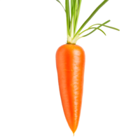 carota isolato su un' traslucido sfondo. png