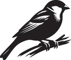 gorrión silueta ilustración en blanco antecedentes. gorrión logo. vector