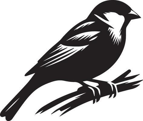 Sparrow silhouette illustration on white background. Sparrow logo.